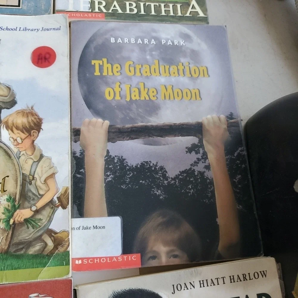 Lot of 33 Misc Titles  Gr 4-5 Leveled Reader Books Homeschool Classroom Tutor